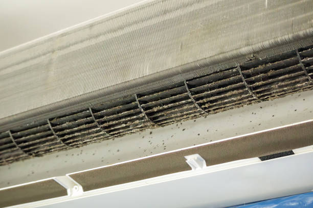 Best Dryer Vent Cleaning Services  in North Canton, OH